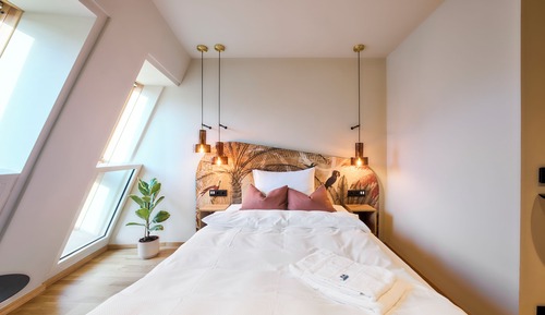 Comfort Single Room