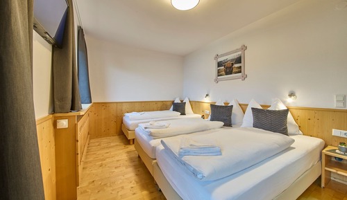 Classic Triple Room, Balcony, Mountain View