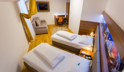 Business Twin Room