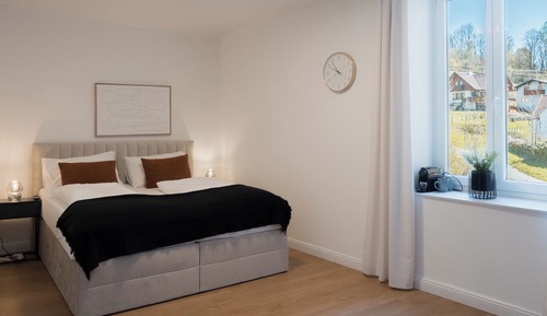 Comfort Apartment, 1 Queen Bed