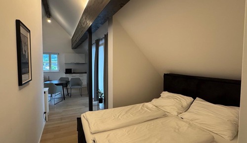 Superior Apartment, Balcony