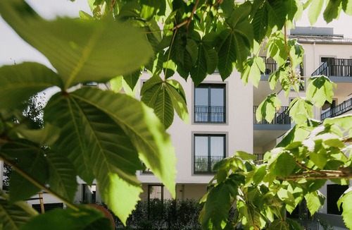 Liesing Hotel | Stasta