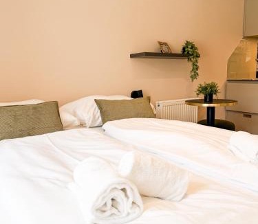 Hall In Tirol Apartment | Blackhome City Center Hall I contactless check-in