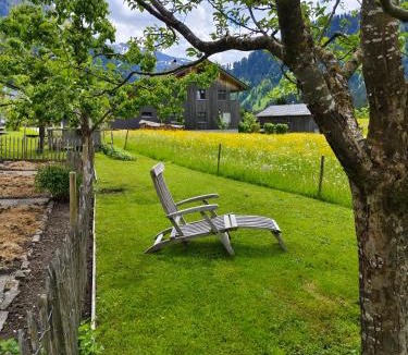 Schoppernau House | Ferienhaus Wenefrieda