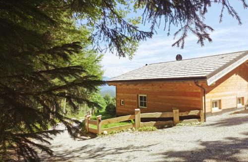 Koppl Ski Chalet | Stodingerhütte