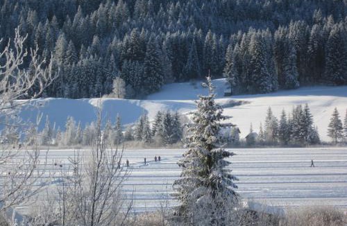 Weissensee Apartment | Seehaus Verena