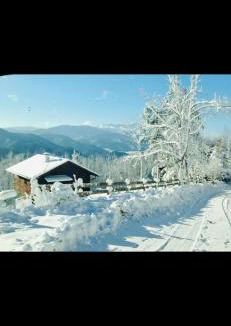 Pernitz House | Behagliches Cottage mit Kamin mitten im Wald