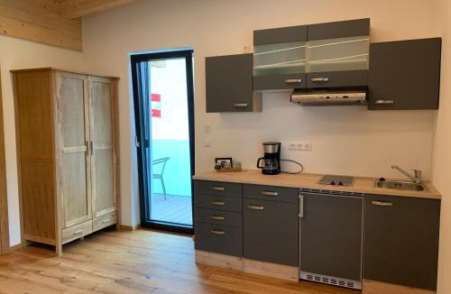 Maishofen Apartment | Apartments MountainView