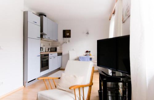 Steinbach am Attersee Apartment | Wohnung am See