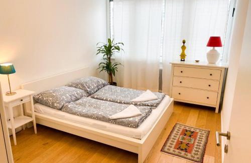 Lehen Apartment | Lovely NEW apartment, CENTRAL, free parking