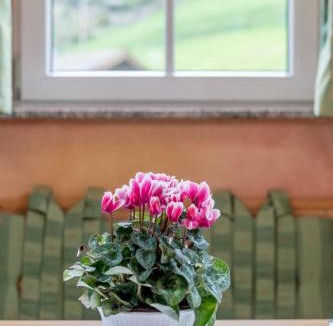 Soelden Apartment | Villa Castelbell