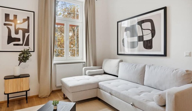 Big spacious apartment for group