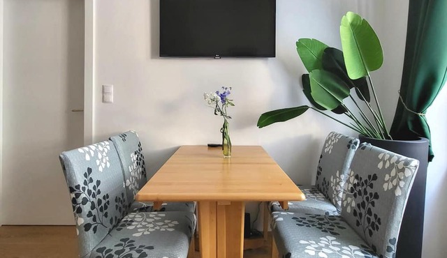 High class city Apartment A15 with AC