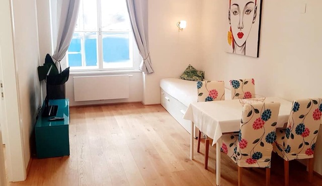 Deluxe 3 BR Apartment A14 in historic city center with AC