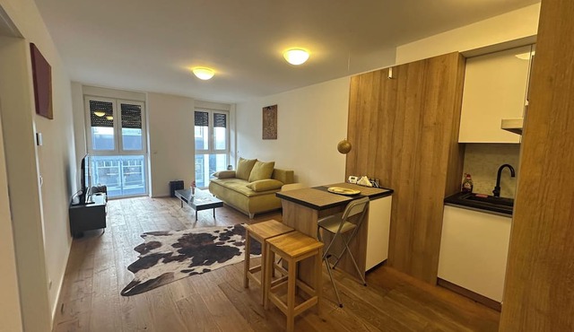 Apartment Beauty Erlachgasse - newly adapted apartment next to the pedestrian zone