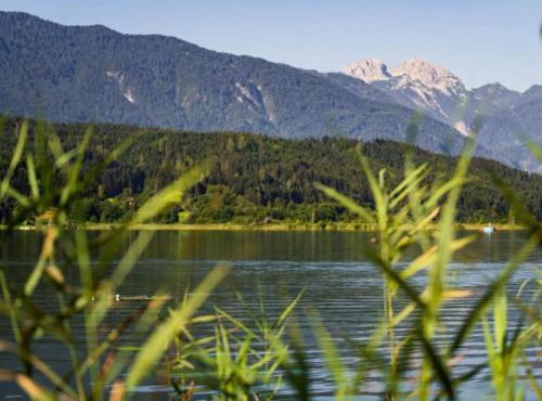 Seeblick am Pressegger See