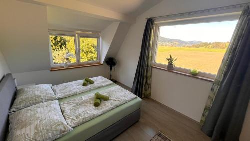 Ferienwohnung zum IRRSEE 79 Mondseeland