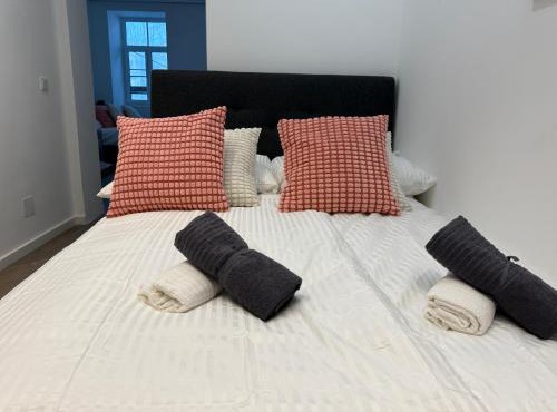 Central Renovated Premium Apartment with Free Parking
