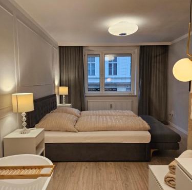 Luxury Apartment with Sauna in City Center