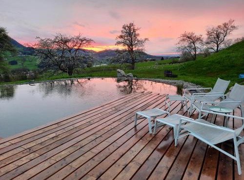 Loftartige Wohnung in Scheibbs mit Schwimmteich