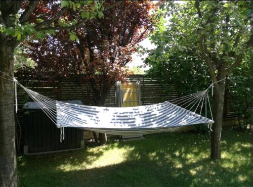 Michael's Nest