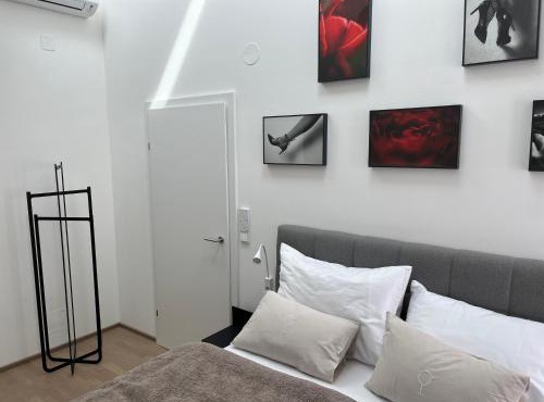 Haus Fünf mit 2 Apartments und Studio-Loft mit Terrasse
