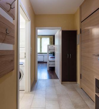 Apartment Mariazell Bürgeralpe